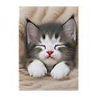 ks-staffの😺癒し猫シリーズ💖 クリアファイル