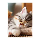 終わらない夢🌈の眠るにゃんこ😺zzz Clear File Folder