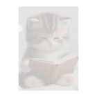 しんふぉショップの読書する赤ちゃんネコのグッズ Clear File Folder