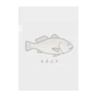 脂身通信Ｚの【魚シリーズ】イシモチ♪240507 クリアファイル