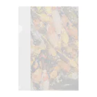 竹の鯉 Clear File Folder