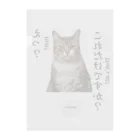 catnip factoryの不満顔の猫 Clear File Folder