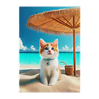 猫と紡ぐ物語の南国の海で一時のバカンスを楽しむ Clear File Folder