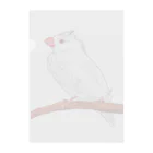 Lily bird（リリーバード）の水浴び文鳥 カラー クリアファイル