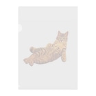 Elegant CatのElegant Cat ③ Clear File Folder