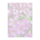 LalaHangeulの野の花シリーズ　道端の花 Clear File Folder