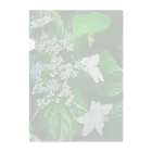LalaHangeulの白い紫陽花　青み クリアファイル