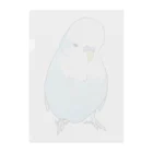 まめるりはことりの可愛いジャンボセキセイインコ【まめるりはことり】 Clear File Folder