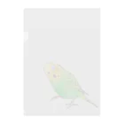 まめるりはことりの首傾げセキセイインコ　ピーちゃん【まめるりはことり】 クリアファイル