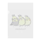 Mitsu-ZoのCockatiels Clear File Folder