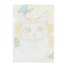 Miaws Shopのタンポポと白茶猫 Clear File Folder