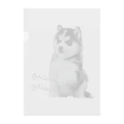 サバミケ、茶トラ、鍵しっぽ。の好奇心旺盛ハスキー犬 Clear File Folder