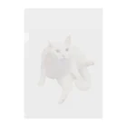 タマの白猫オッドアイのタマ　お座りバージョン クリアファイル