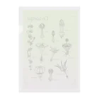 DOTEKKOのT-29 Ceropegia  Clear File Folder