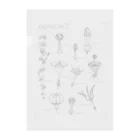 DOTEKKOのT-29 Ceropegia Clear File Folder