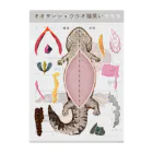 Kanon Tanakaのオオサンショウウオをまなぼう Clear File Folder