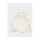 *KAKAPO*の*KAKAPO*のふんわりオカメインコちゃん(るちの) クリアファイル