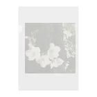 _foxの小さな桜 Clear File Folder