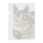 ジュウナンザイ屋のいとこんちのねこ Clear File Folder