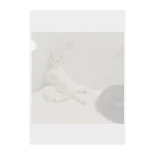 mekuso_necoのくつろぎ猫 Clear File Folder