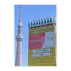 OgaのTokyo SKYTREE in Spring クリアファイル