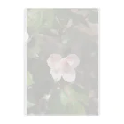 yumiの薔薇～リボン Clear File Folder