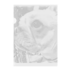 TAKA SHOPのフレンチブルドッグ幸来-coco- Clear File Folder