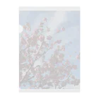 愛自然写真の桜と空と雲 クリアファイル