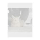 shirado_kazukiの猫のひとやすみ Clear File Folder