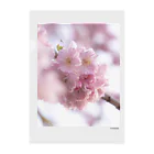 unxgraphyのSAKURA 1 Clear File Folder