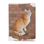 ともの茶トラにゃんこ Gingercat 文字入り Clear File Folder