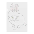 ねこの巣のかわいい兎…？【白】 Clear File Folder