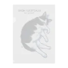 ねこねこ堂の落ちてる猫（ハチワレ） Clear File Folder