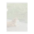 RUNARUNA_SHOPの柴犬わんこ Clear File Folder