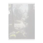 ミクロの木漏れ日 Clear File Folder