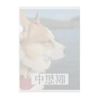 カントリーマンの瞑想コーギー Clear File Folder