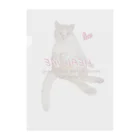 NECO　HACHIのHEAL ME Clear File Folder