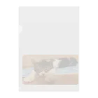 南の島のにゃんこの飛べるポーズで眠るパル～南の島のにゃんこ～ Clear File Folder