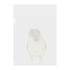 まめるりはことりの可愛いウロコメキシコインコちゃん【まめるりはことり】 Clear File Folder