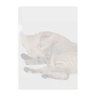 ChoboTora24の眠り猫ちゃん達 Clear File Folder