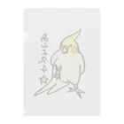 すなねことぽいんちょのオカメインコ　ポインチョ　あんよタッチ　 Clear File Folder