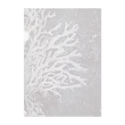 道草屋のSnow-地衣類- Clear File Folder