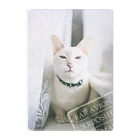 海賊猫 cocoのウクライナの猫 MurchikくんとNikotinくん♡ Cats ♡ Ukrainian cats #ウクライナ 本と猫 Donation Items Clear File Folder