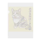 平野郷猫会議事堂の和三毛猫 Clear File Folder