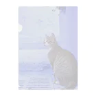 ちょろ母ねこ写真グッズのモロッコねこ〜シャウエン2 Clear File Folder