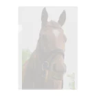 Teatime ティータイムの牧場 乗馬 馬術の馬 Clear File Folder