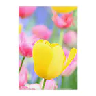 HAPPY TULIPのTULIP YELLOWYELLOW クリアファイル