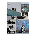 Cats Digital Marketing 【ひげ商店 石垣島】のクリアファイル Clear File Folder