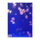 絵菜の海月 Clear File Folder