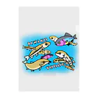 studioaoの琵琶湖淀川水系の淡水魚たち Clear File Folder